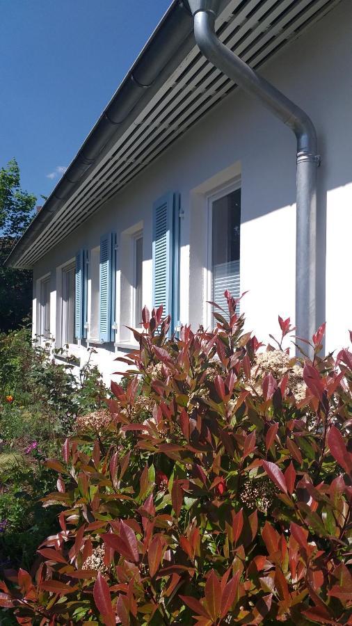 Gartenchalet Rotkehlchen Bad Homburg vor der Hoehe Exterior photo