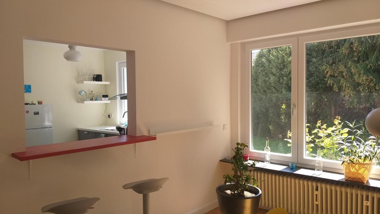 Gartenchalet Rotkehlchen Bad Homburg vor der Hoehe Exterior photo